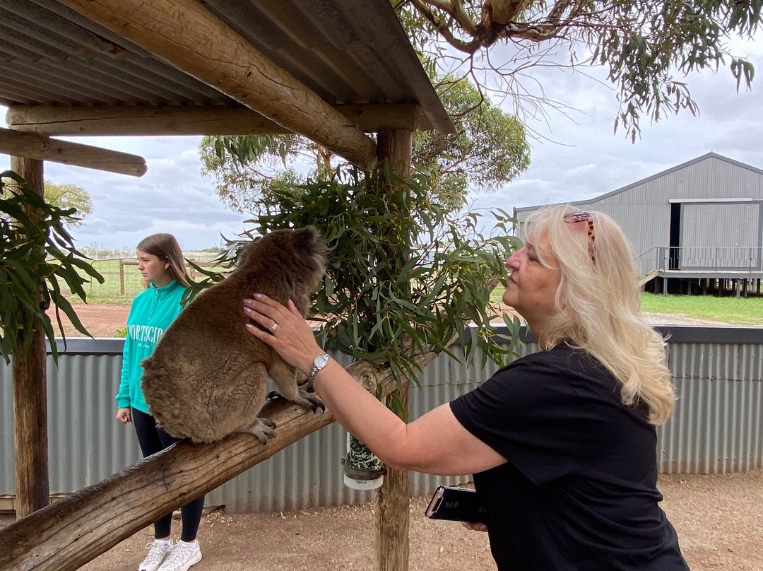 Glen-Forest Tourist Park & Vineyard-Port Lincoln必去景点