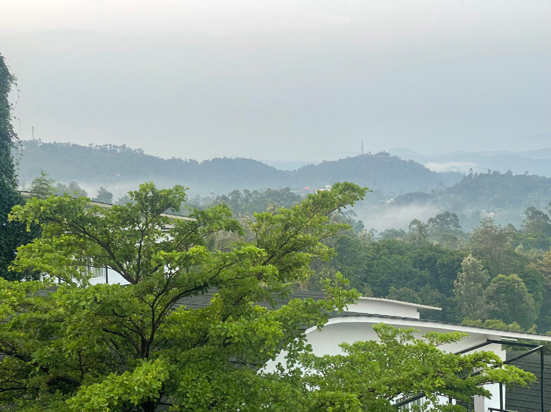 慕那尔落叶酒店主图