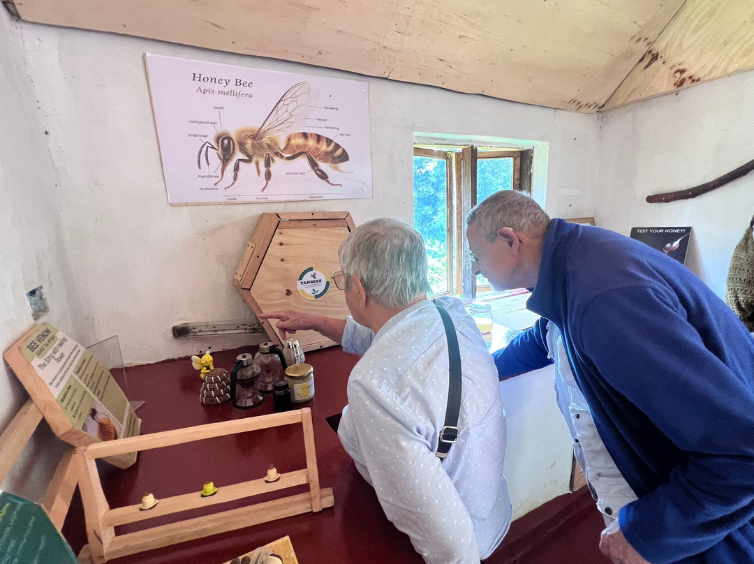 Lushoto Apiculture Museum-卢绍托必去景点
