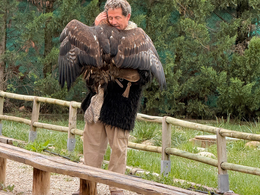 Tierra Rapaz-Calahorra必去景点