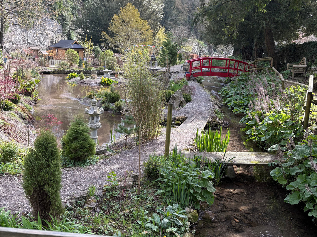 Cascades Gardens-Bonsall必去景点