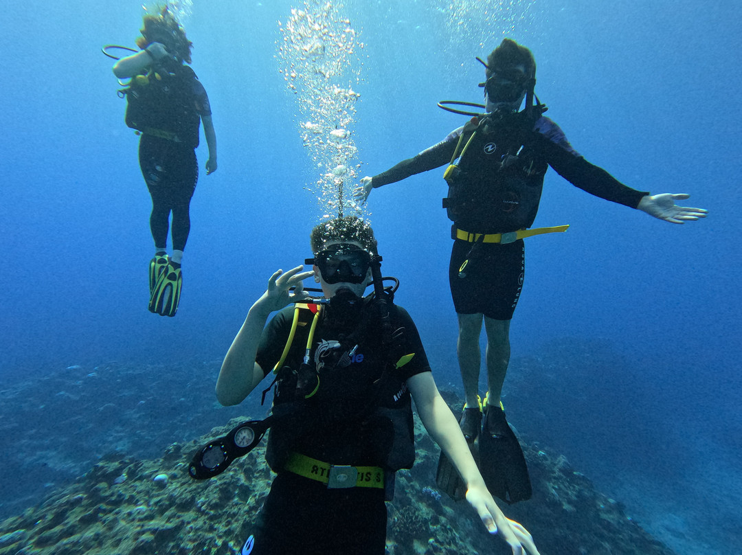 Niue Blue Island Experiences