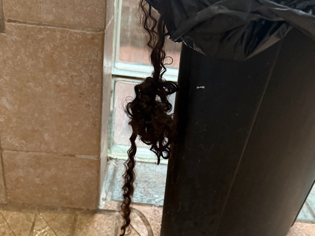 底特律利沃尼诺维希尔顿安泊酒店主图