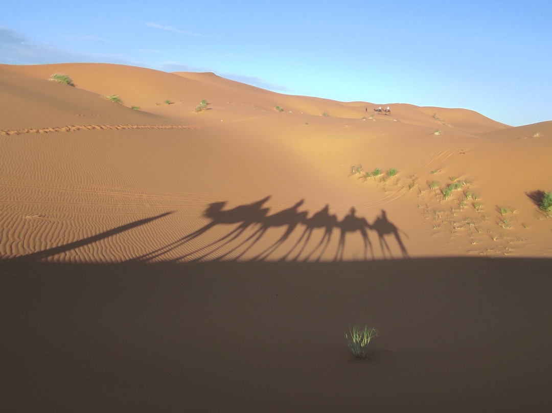 Al Desierto Con Youssef-马拉喀什必去景点