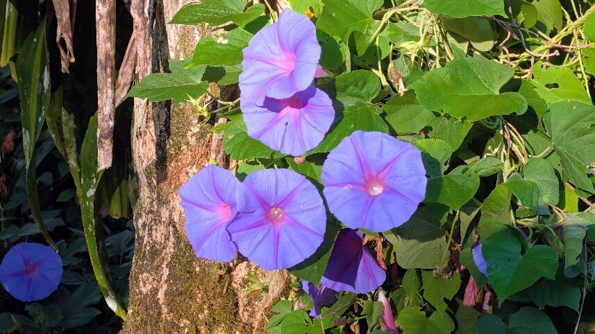 塞米拉维尔德精品酒店主图