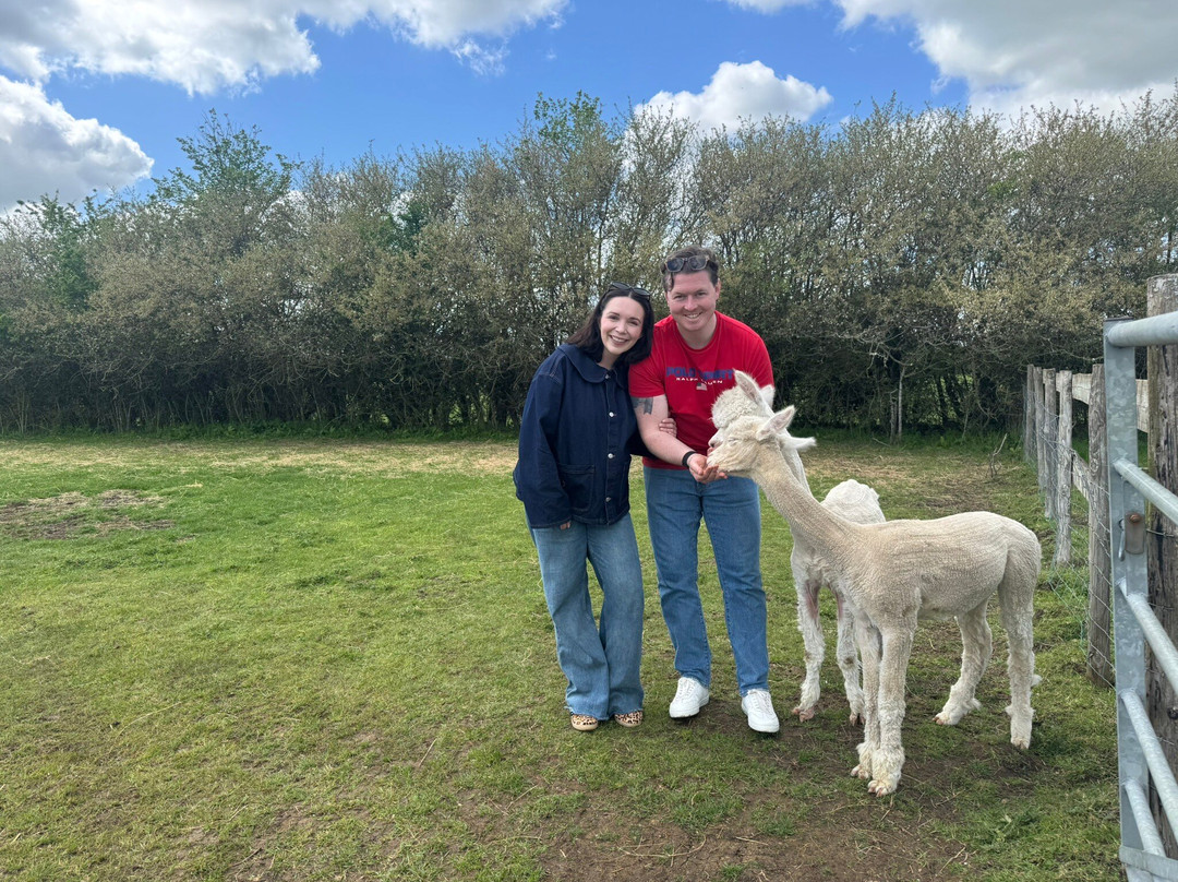 Lane House Alpaca Farm
