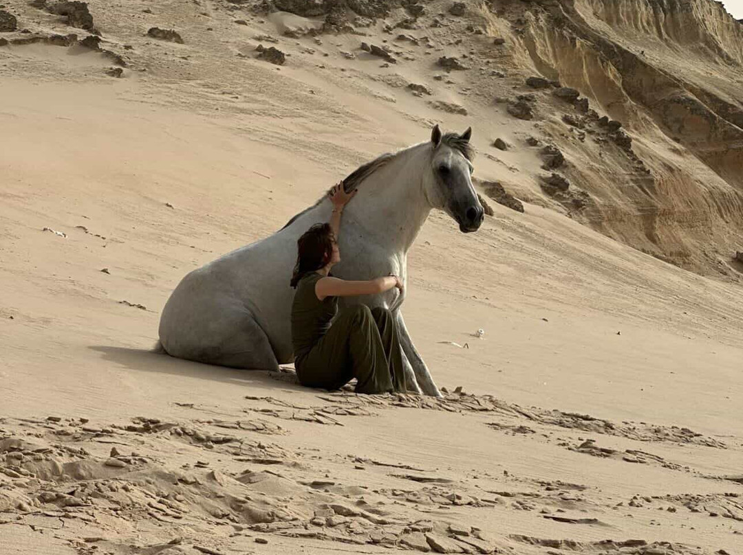 Ranch Des Dunes-达赫拉必去景点