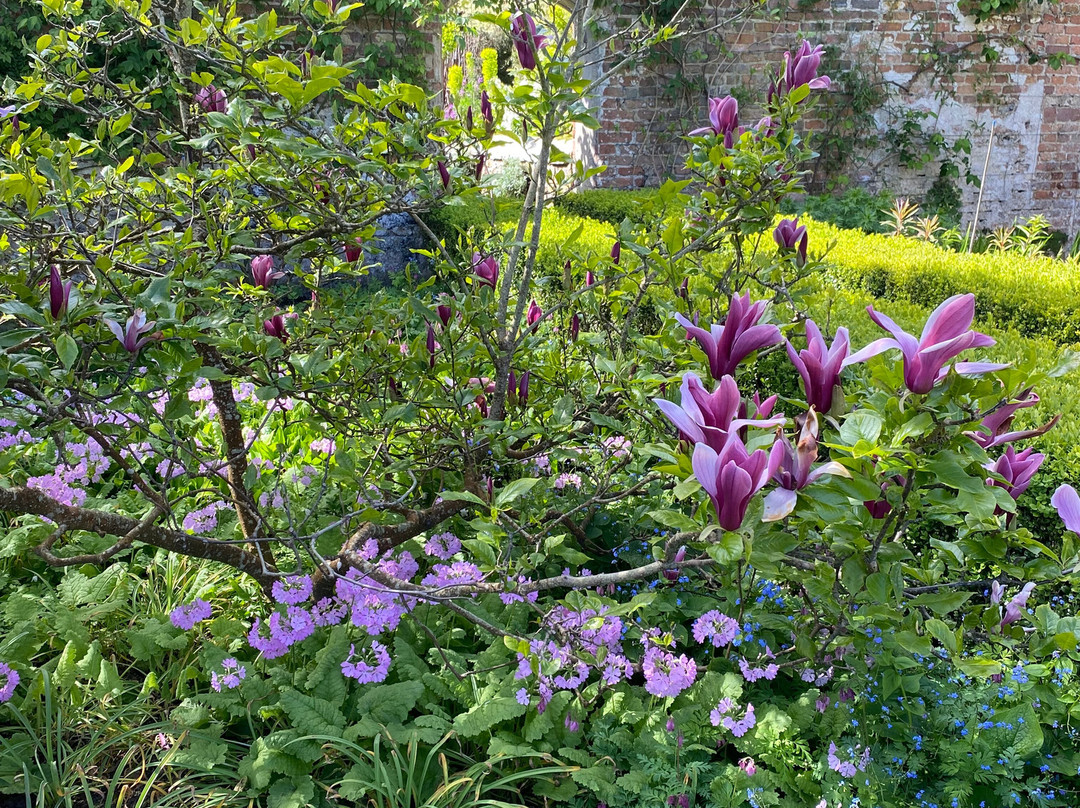 Sissinghurst Castle Garden-Sissinghurst必去景点