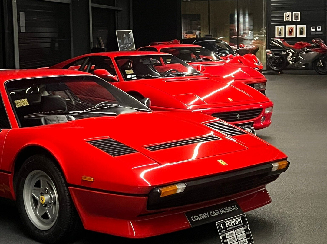 Coligny Car Museum-Coligny必去景点