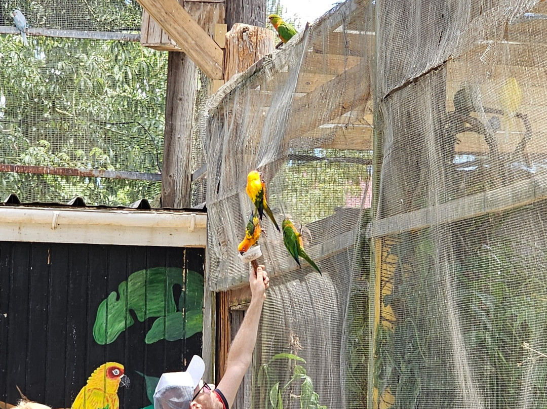 Parotte Ville Bird Sanctuary-圣马丁岛必去景点