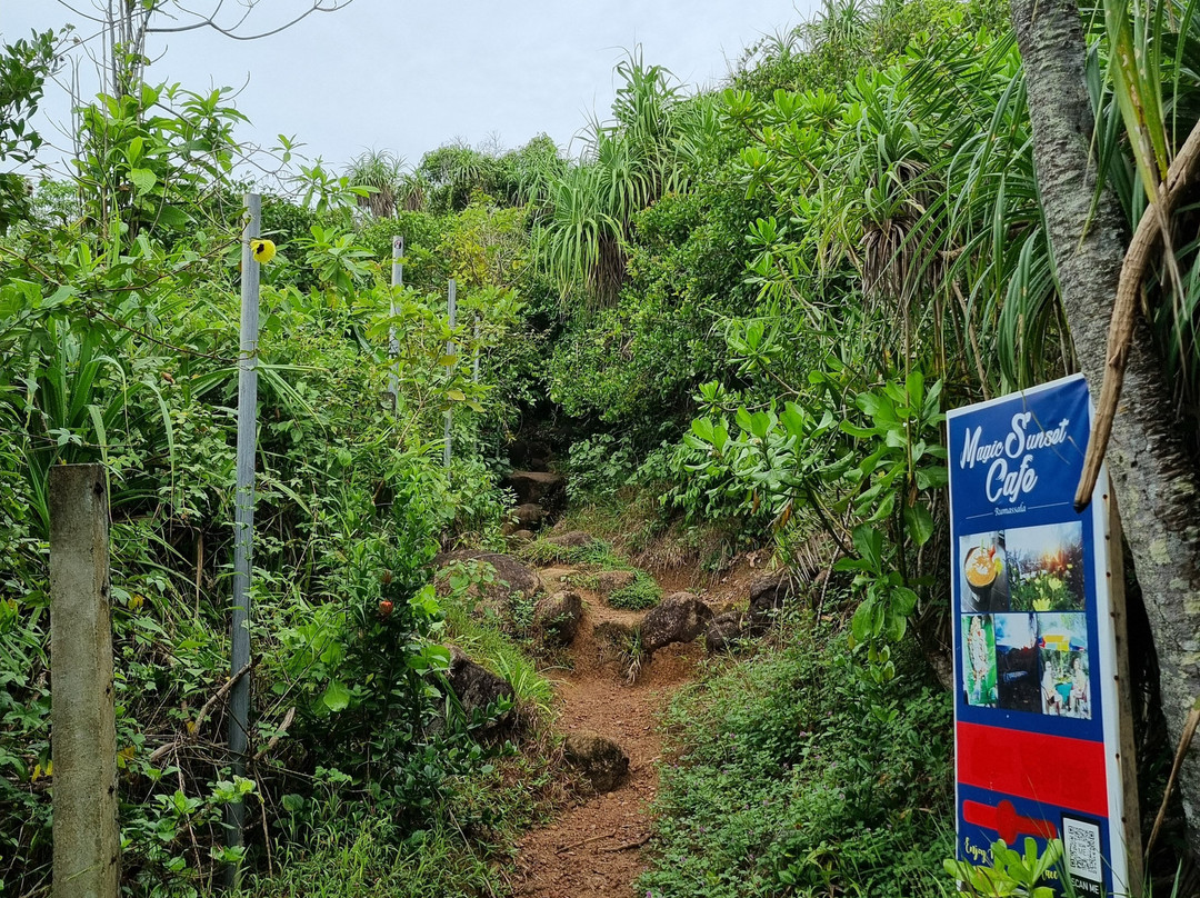 丛林海滩-乌纳瓦图纳必去景点
