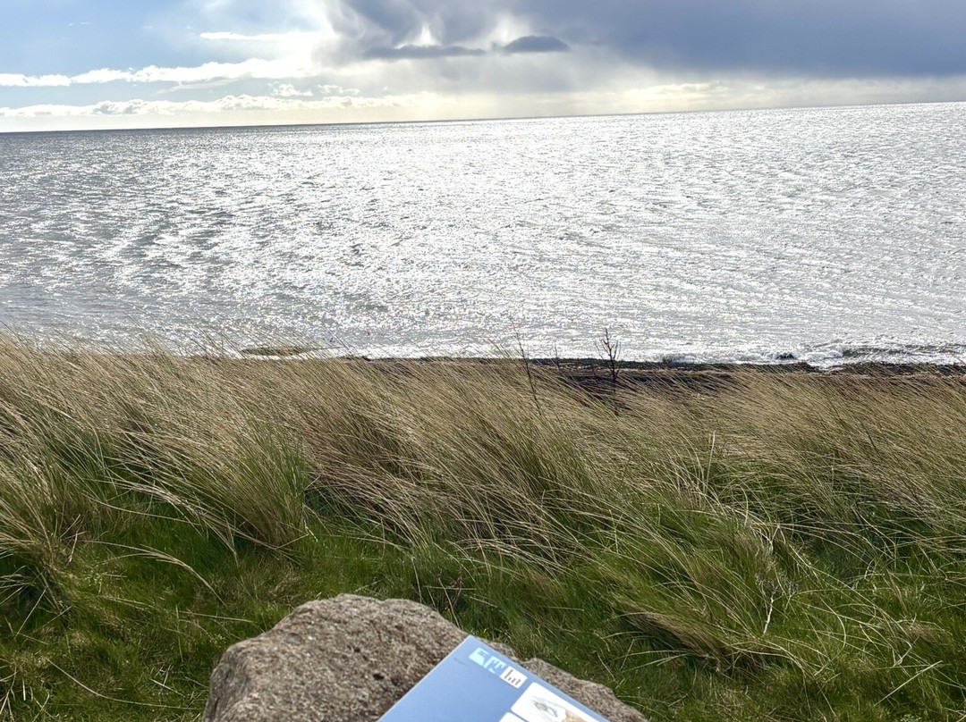 Beadnell Bay Beach-Beadnell必去景点