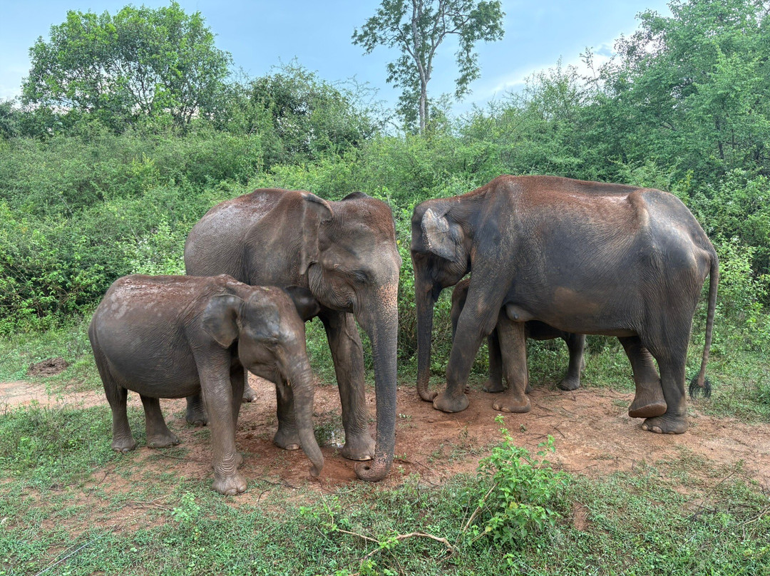 Nature Caves Sri Lanka-科伦坡必去景点