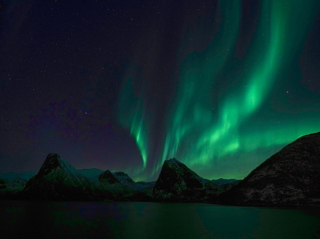 Senja Fjordhotell and Apartments主图