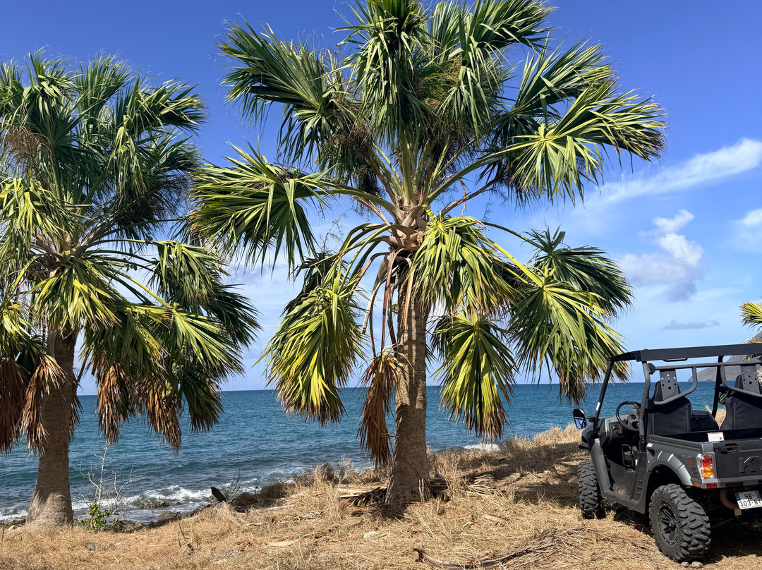 BUGGY Quad Martinique-Le Diamant必去景点