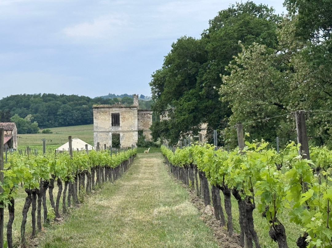 Chateau Boutinet-Villegouge必去景点
