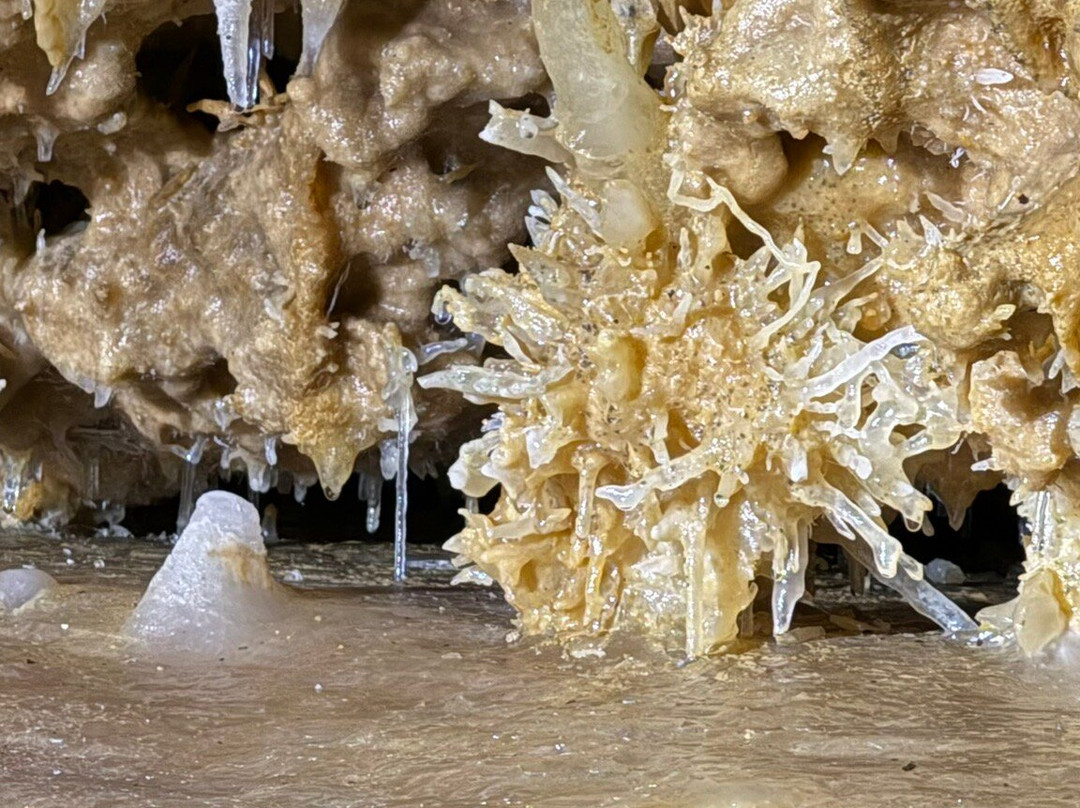 Grotte du Grand Roc-Les Eyzies-de-Tayac-Sireuil必去景点