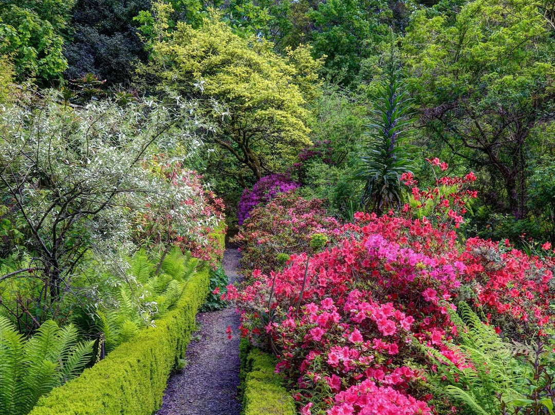 Hartland Abbey & Gardens-Stoke必去景点