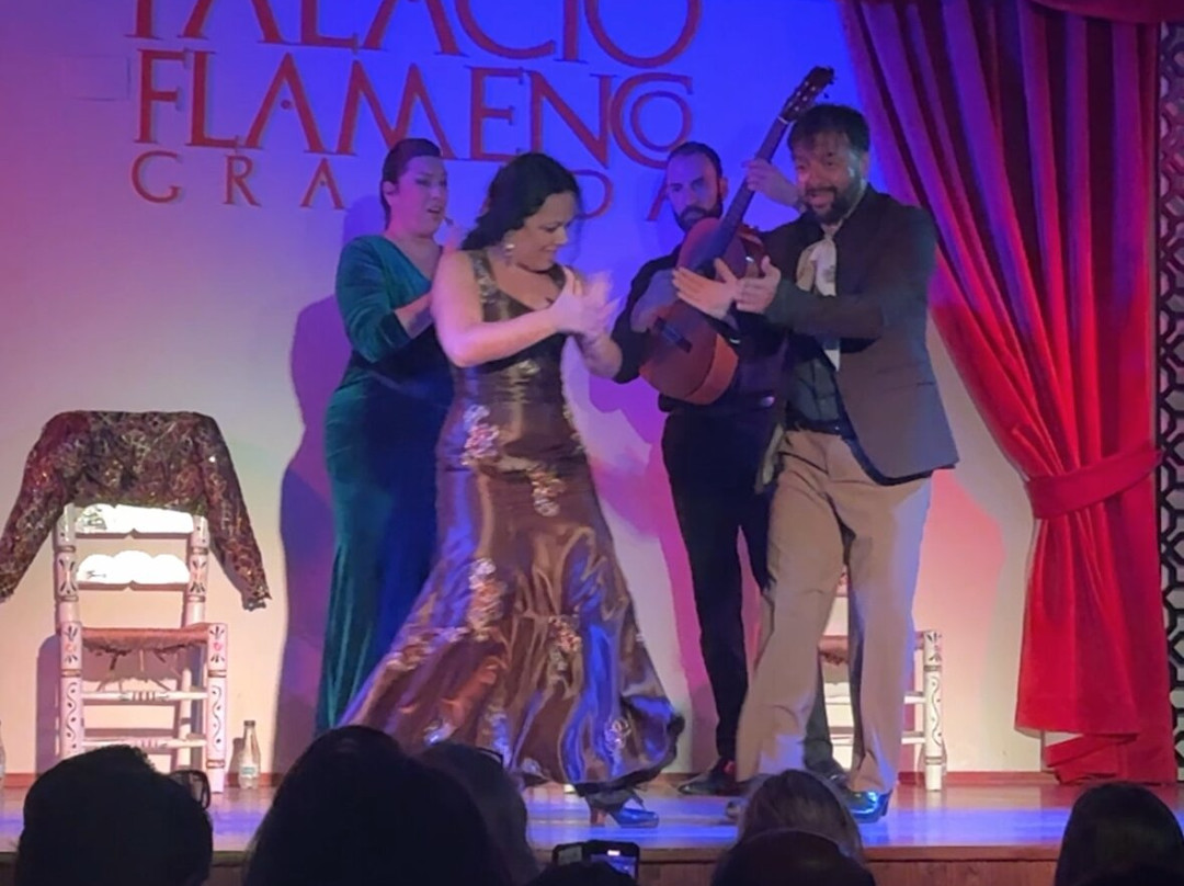 Palacio Flamenco Granada-格拉纳达必去景点