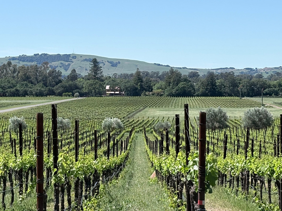 Gundlach Bundschu Winery-索诺玛必去景点