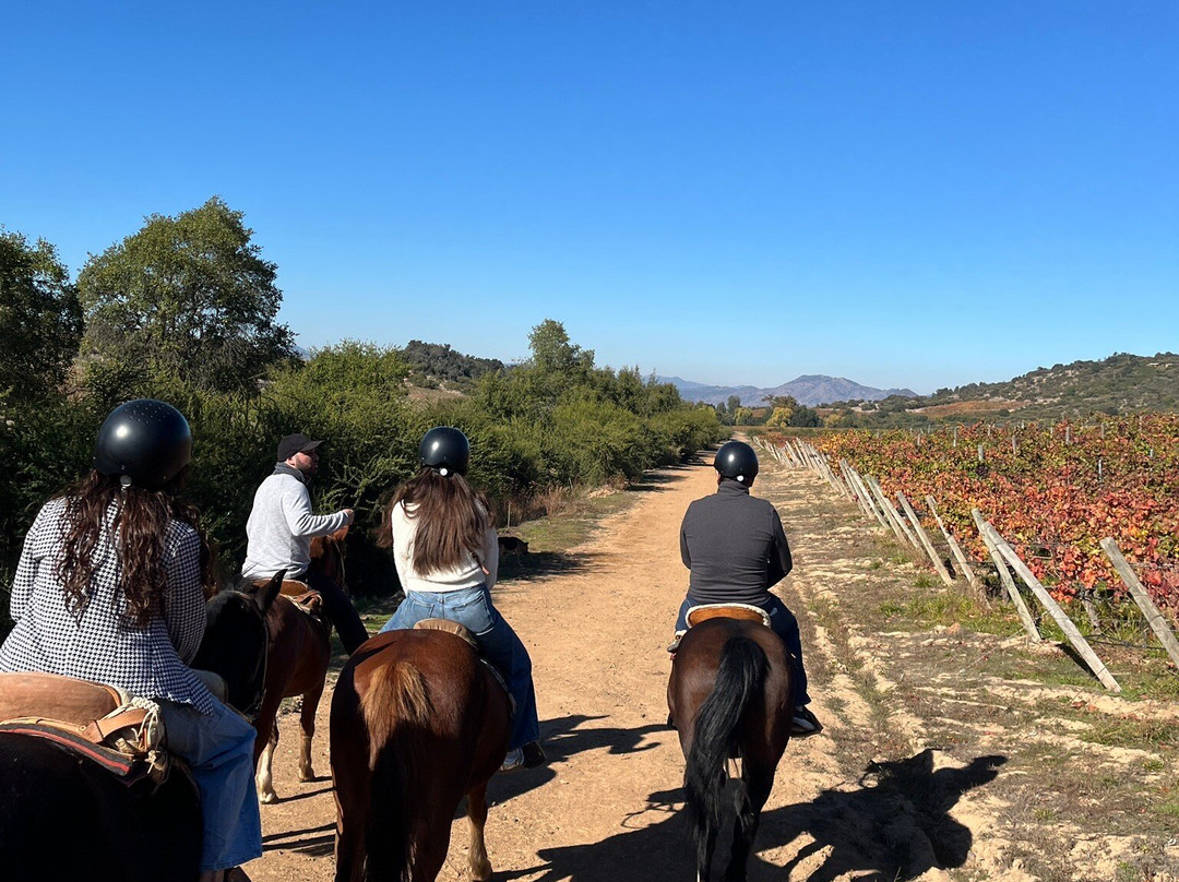 Natural Wine Tours-Palmilla必去景点