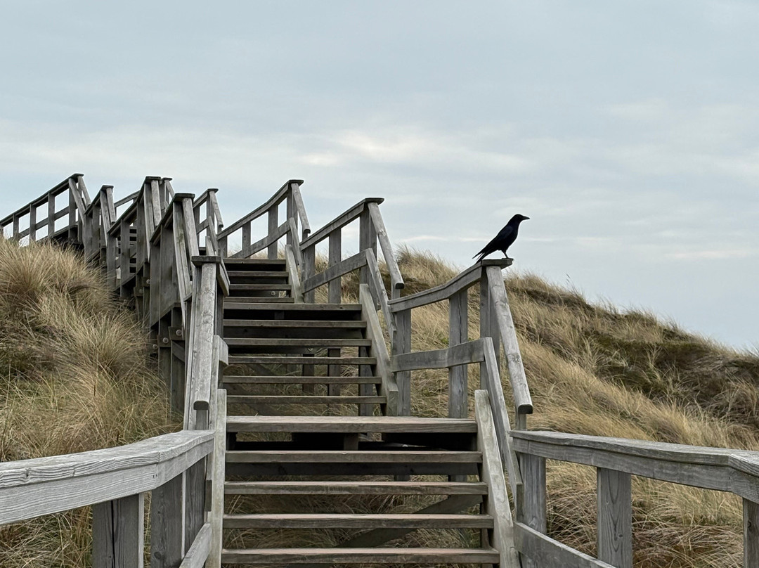 Strandübergang Wenningstedt-Wenningstedt-Braderup必去景点