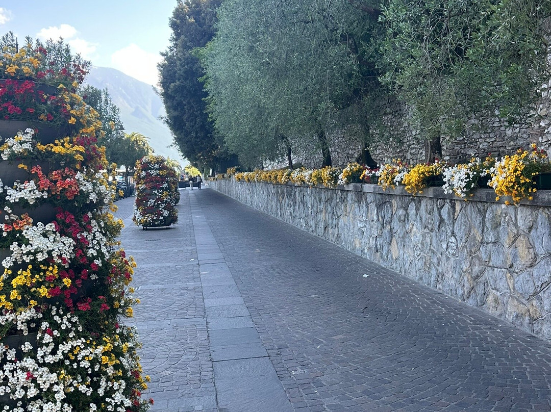 Passeggiata lungo lago