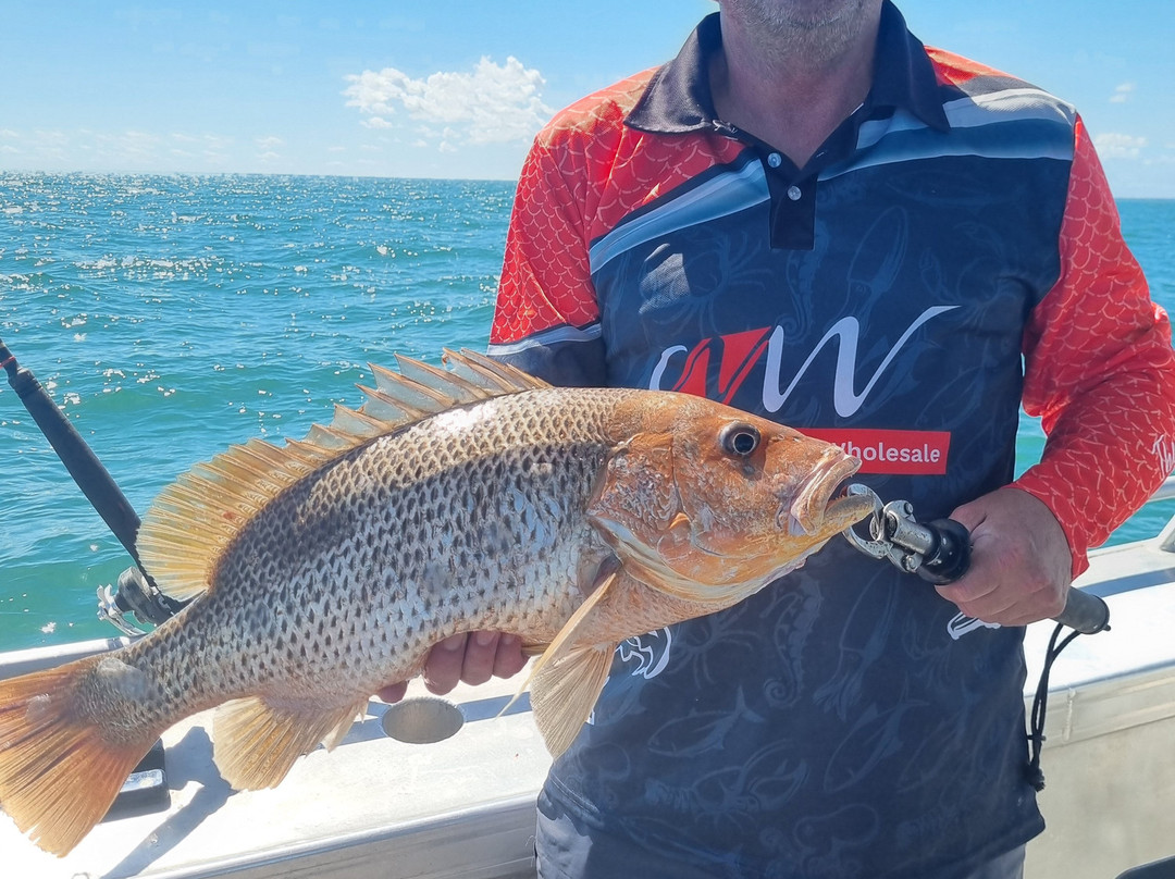 Dundee Beach Fishing Charters-Dundee Beach必去景点