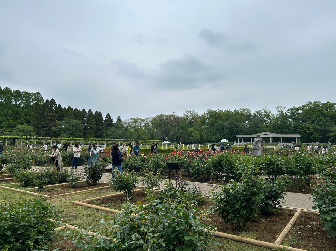 Jindai Botanical Park-调布市必去景点