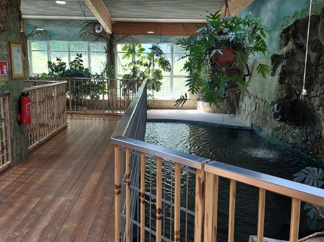 Erlebnispark Meeresaquarium-Zella-Mehlis必去景点