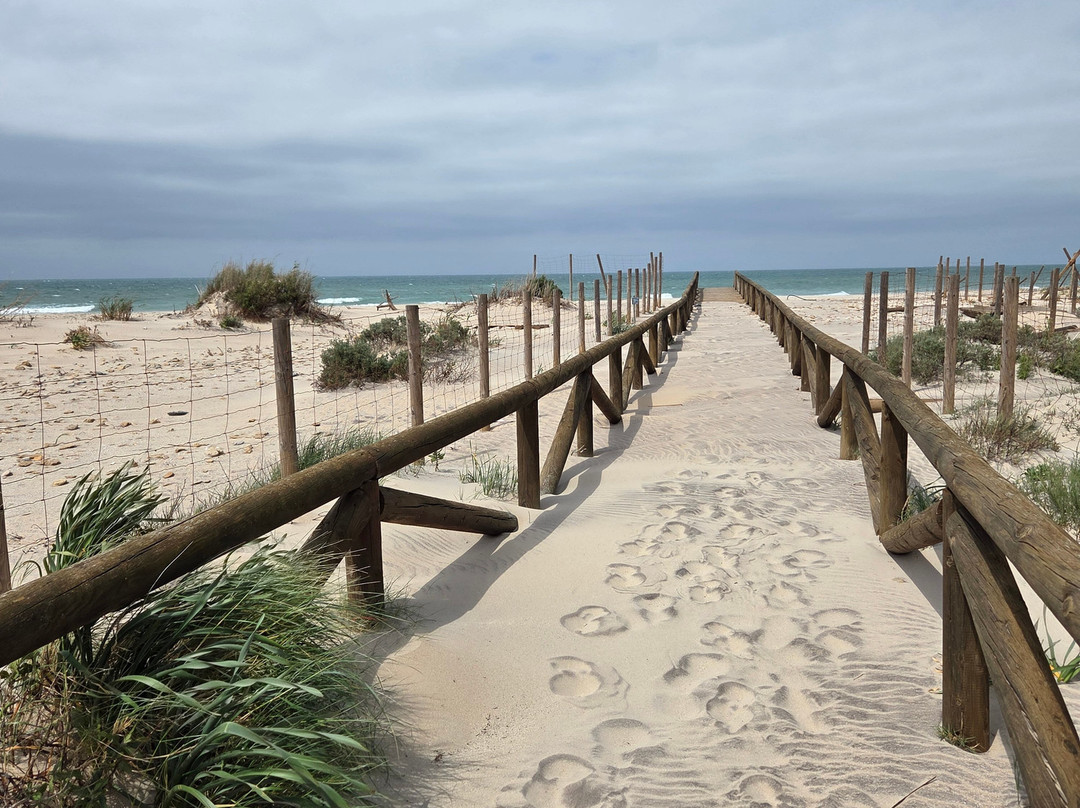 Playa De Camposoto-圣费尔南多必去景点