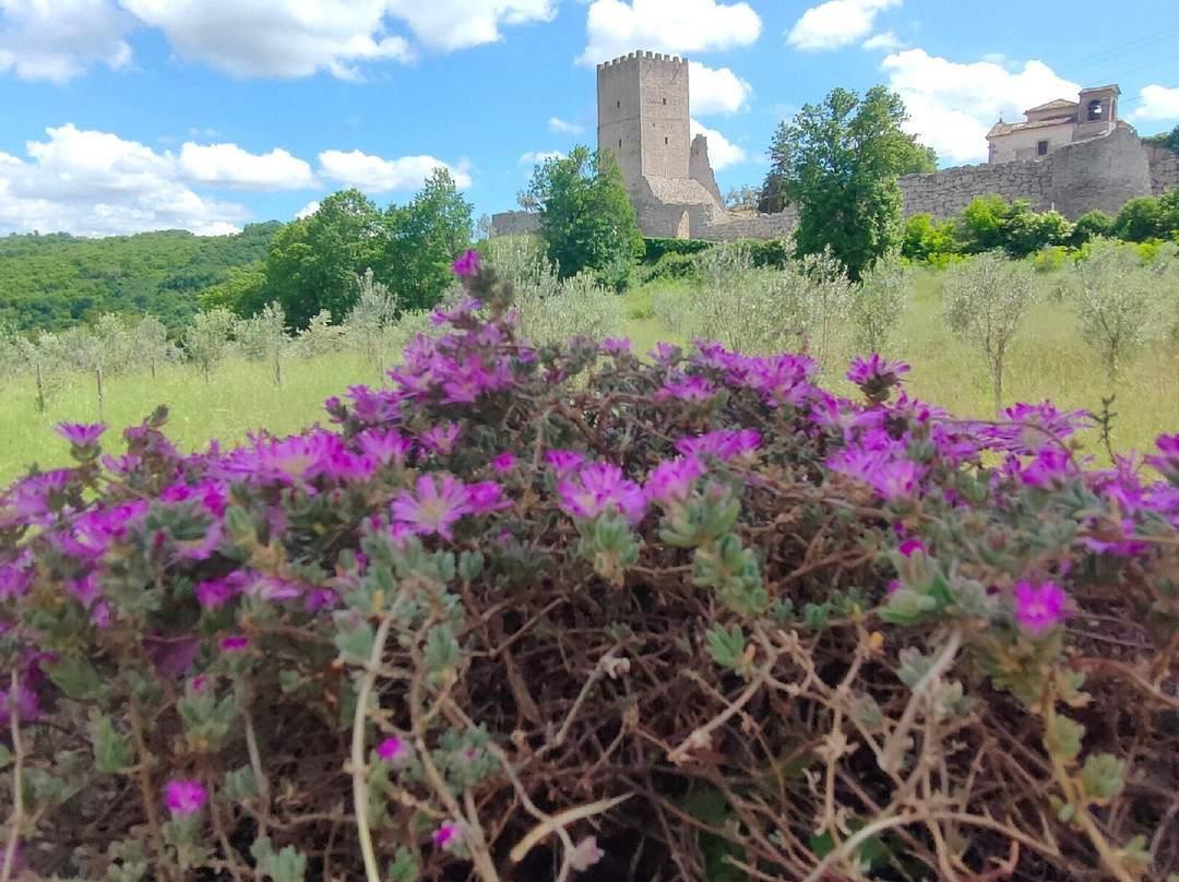 L'Acropoli di Civitavecchia-Arpino必去景点