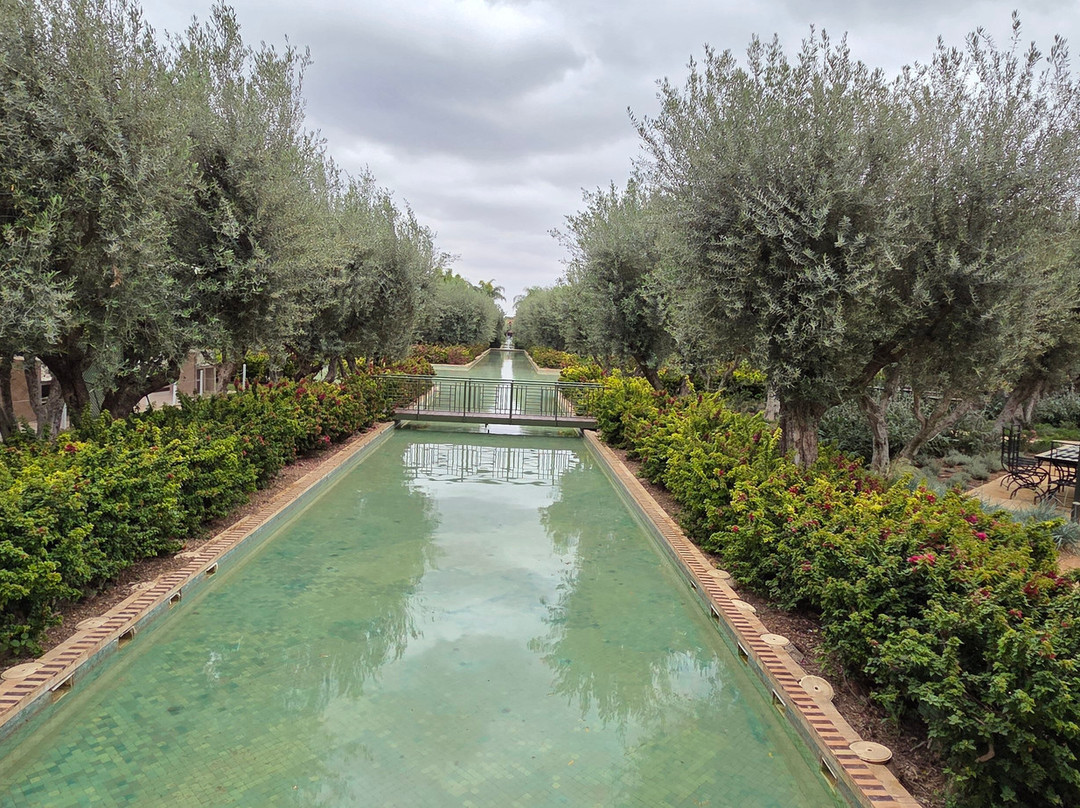 Club Med Marrakech la Palmeraie主图