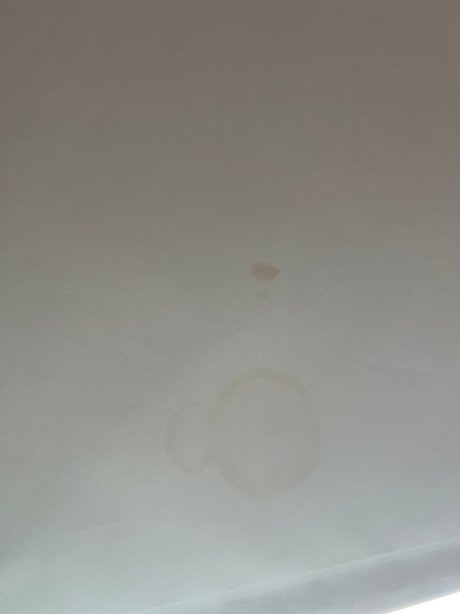 纳什维尔贝尔维尤希尔顿惠庭酒店-旅行者