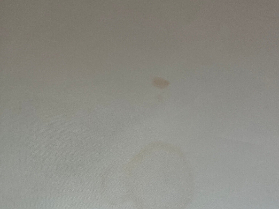 纳什维尔贝尔维尤希尔顿惠庭酒店主图