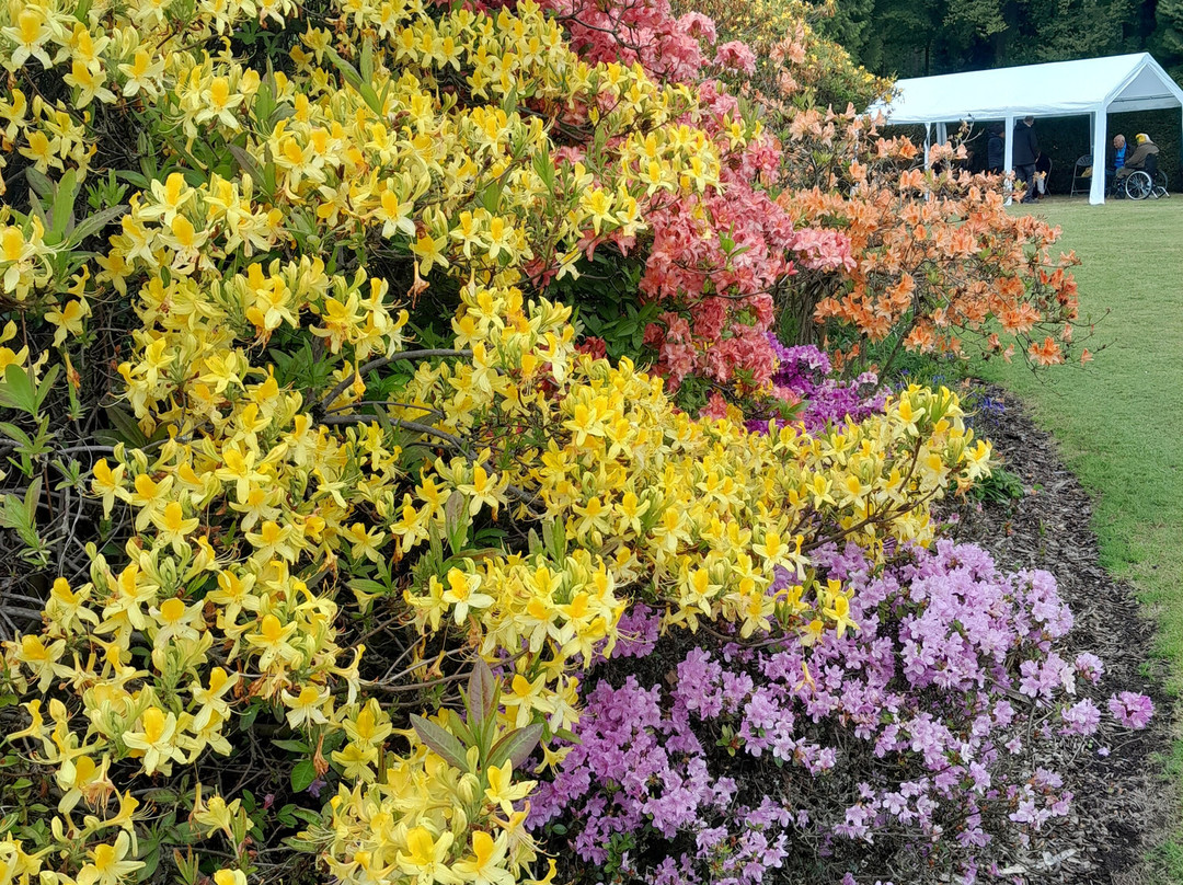 Stody Lodge Gardens-Melton Constable必去景点