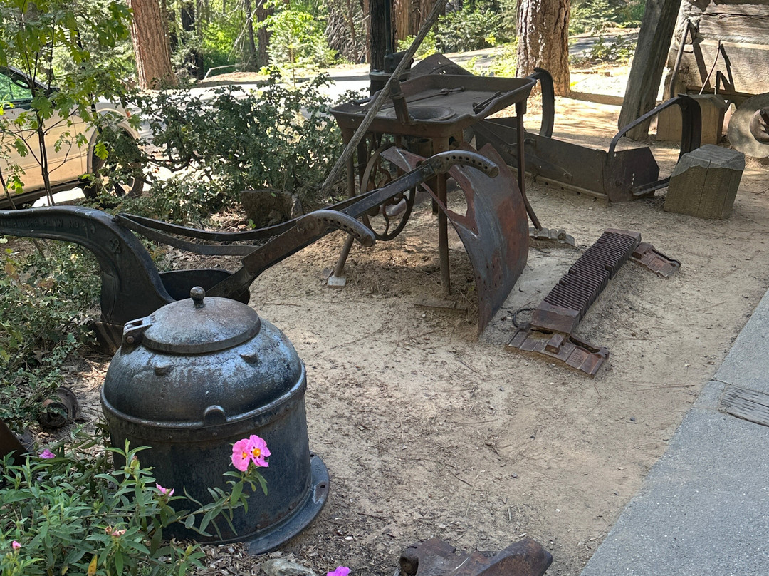 Yosemite Mountain Sugar Pine Railroad-菲什营必去景点