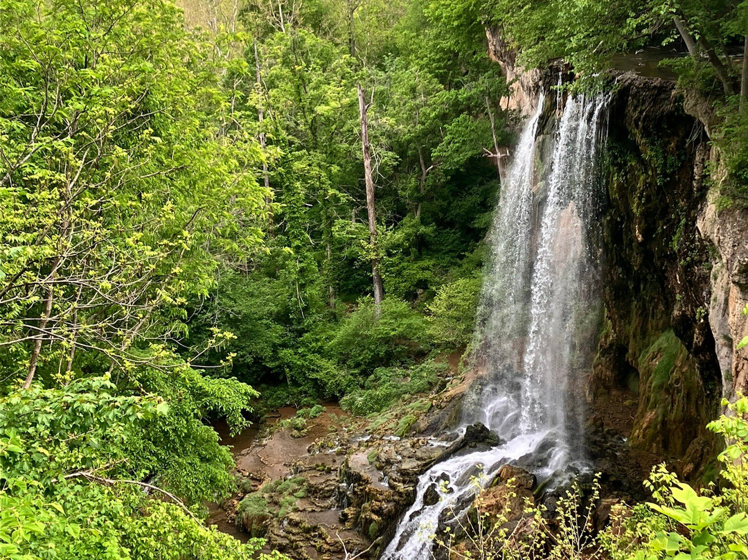 Falling Springs Waterfall-Covington必去景点
