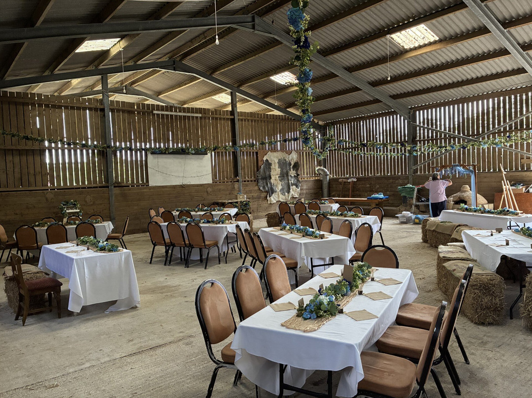 Woodland Valley Farm – Home of the Cornwall Beaver Project