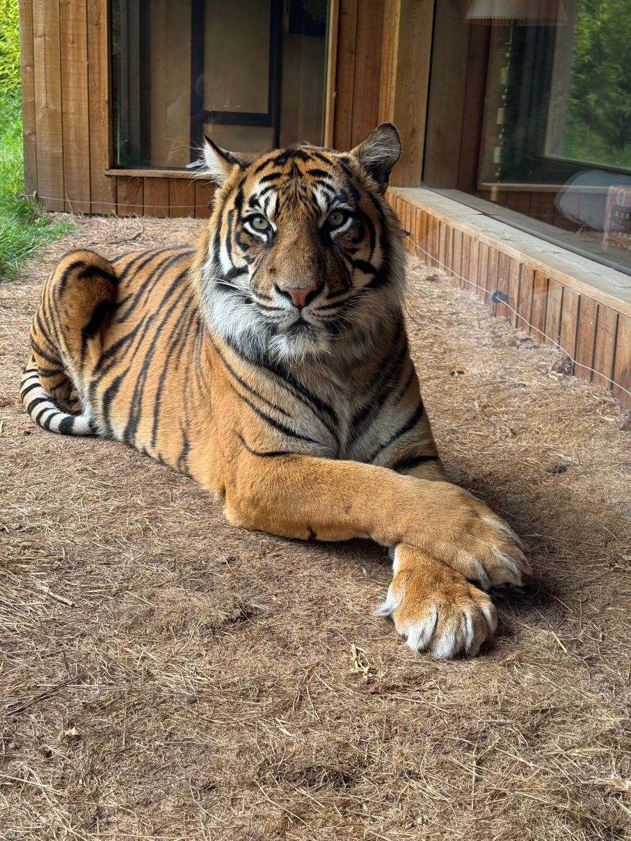 Safari Lodges At West Midlands Safari Park-酒店景观