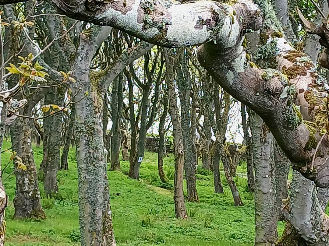 The Castle & Gardens of Mey-Thurso必去景点