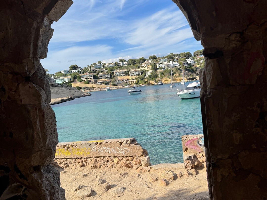 Playa Portals Vells-卡尔维亚必去景点