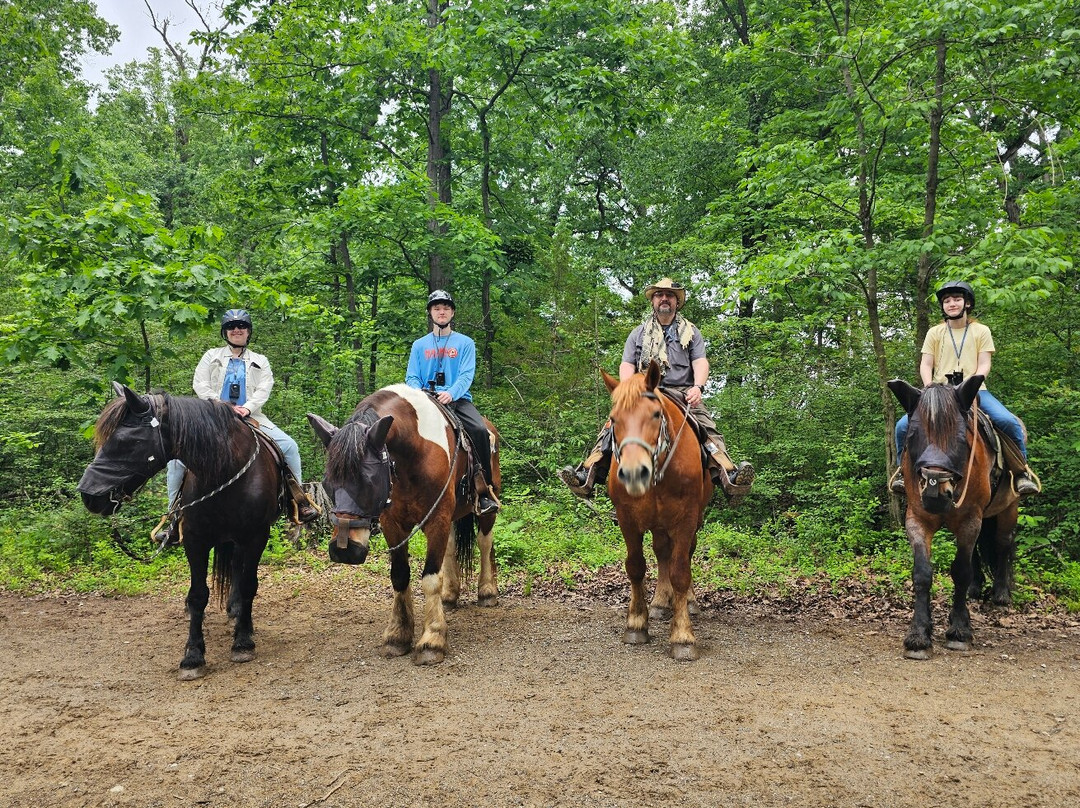 Hickory Hollow Horse Farm-葛底斯堡必去景点
