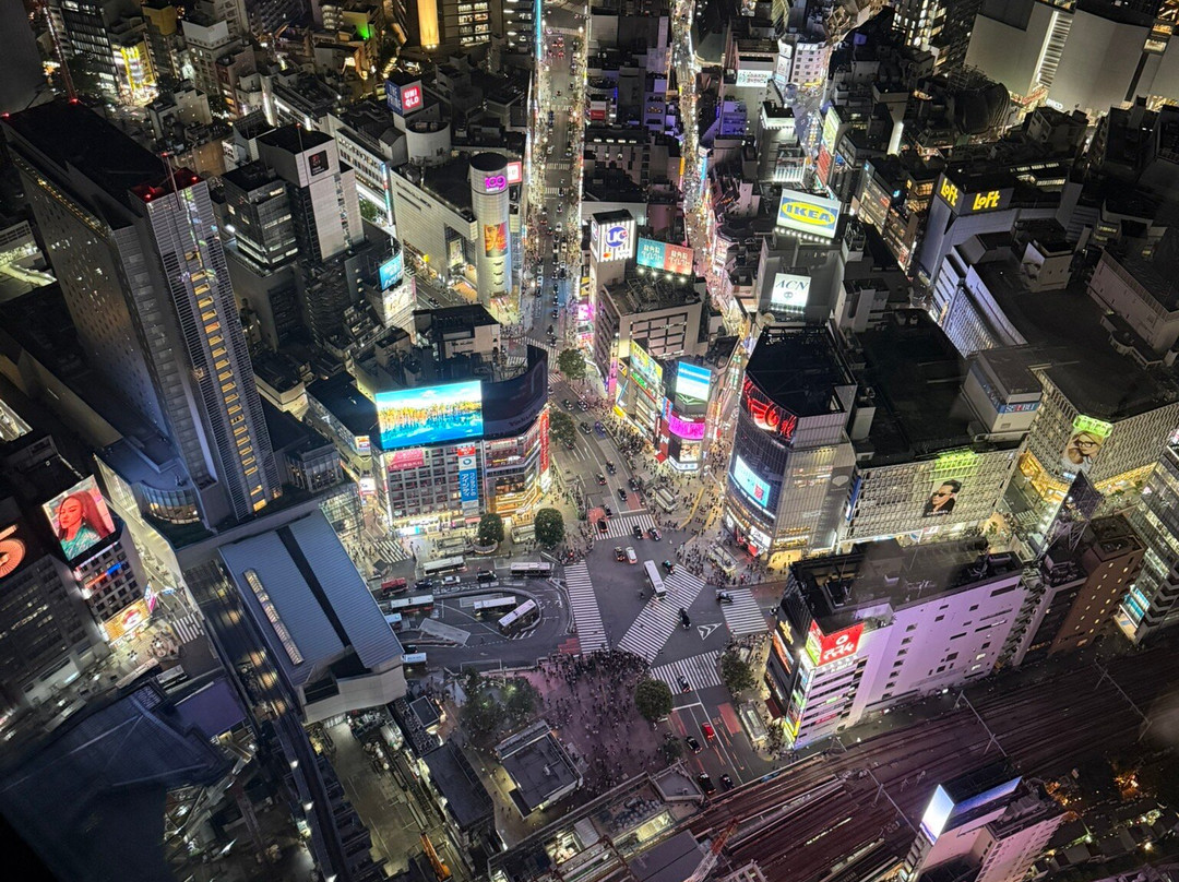 Shibuya Sky-涩谷区必去景点