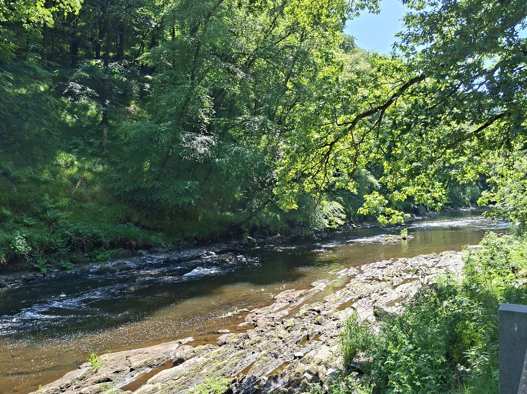 Cenarth Falls-Cenarth必去景点