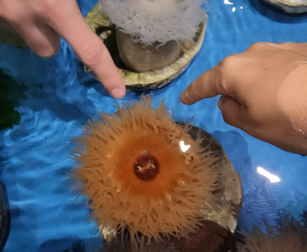 Two Oceans Aquarium-开普敦中心区必去景点