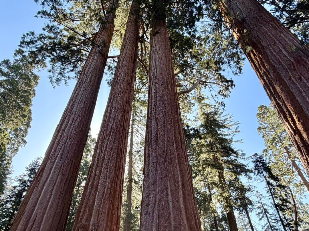 Kings Canyon-红杉&国王峡谷国家公园必去景点