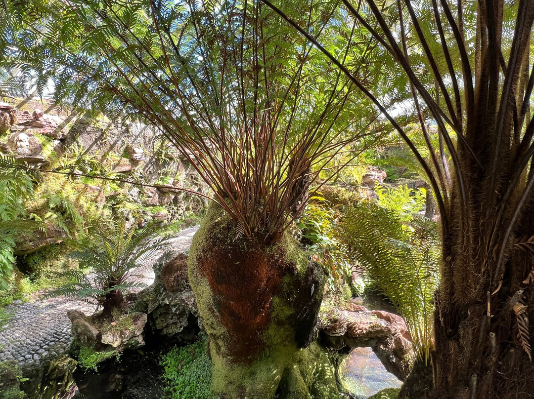 Ascog Hall Fernery and Garden-Ascog必去景点