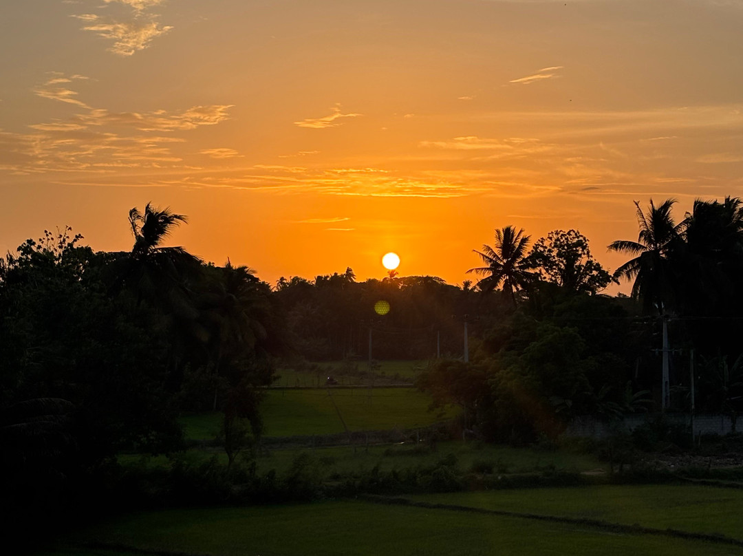 Sri Lankan Spring Tours-蒂瑟默哈拉默必去景点