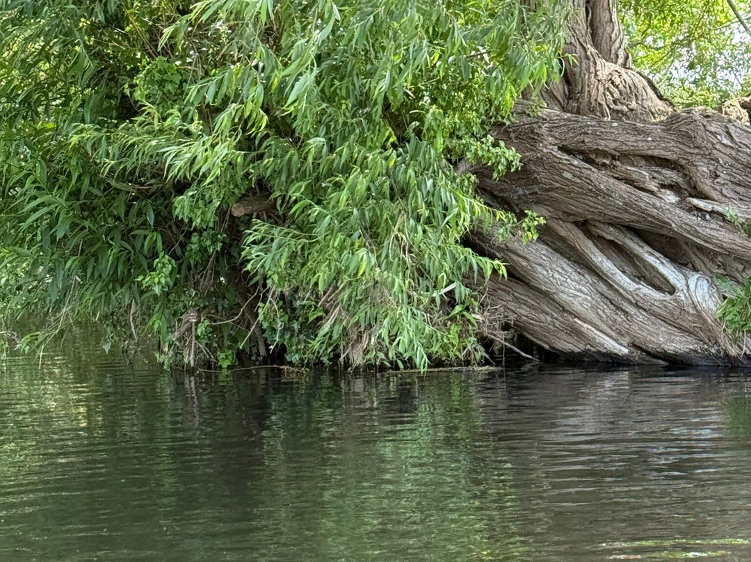River Stour Trust Dedham Vale Boat Trips-East Bergholt必去景点